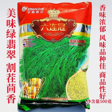 正品六连冠美味绿翡翠割茬茴香种子田园小茴香种籽多次割茬菜