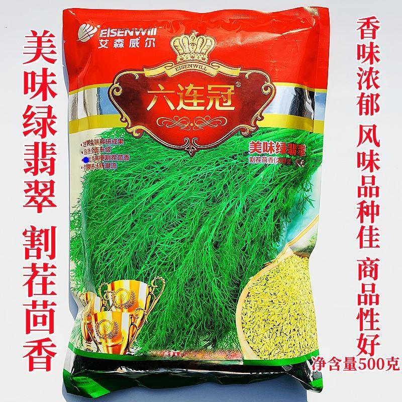 正品六连冠美味绿翡翠割茬茴香种子田园小茴香种籽多次割茬菜