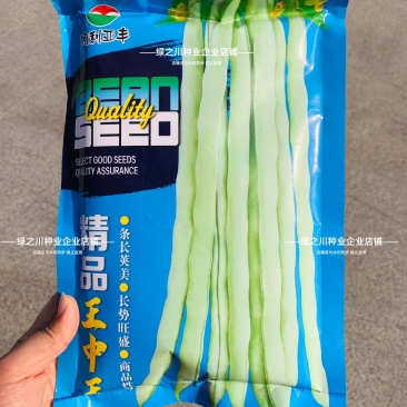王中王架豆种子白绿色豆角种子高产特长芸豆种籽四季豆种子