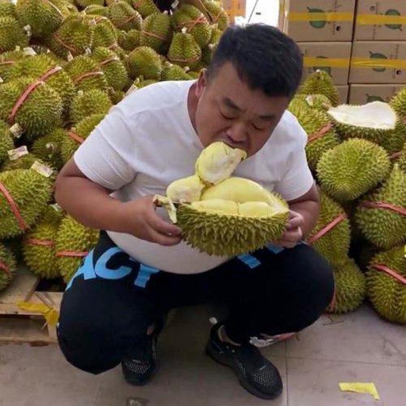 金枕榴莲产地直销，一手货源批发，坏果包赔，货到付款