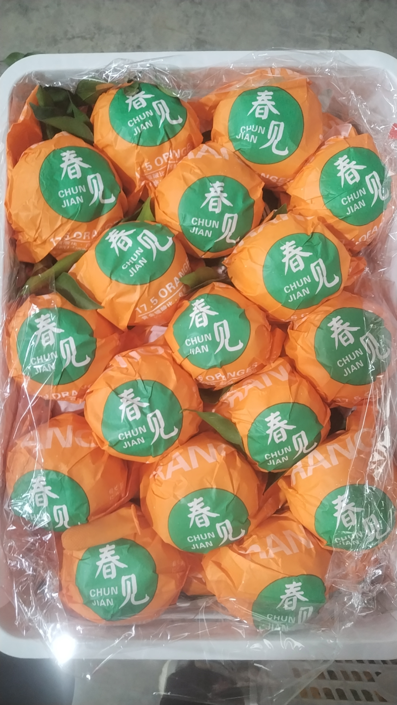 四川耙耙柑产地一手货源，果园现摘直发，视频看货