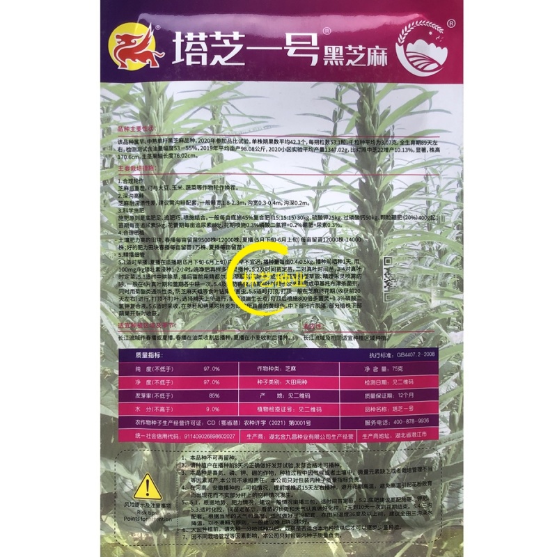 塔芝一号黑芝麻种子农家芝麻种籽春夏农家小院菜园庭院阳台