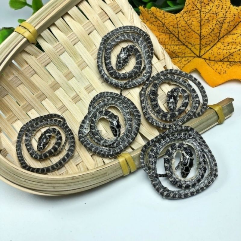 金钱白花蛇正品金钱百小花蛇干中祁练蛇小白花蛇
