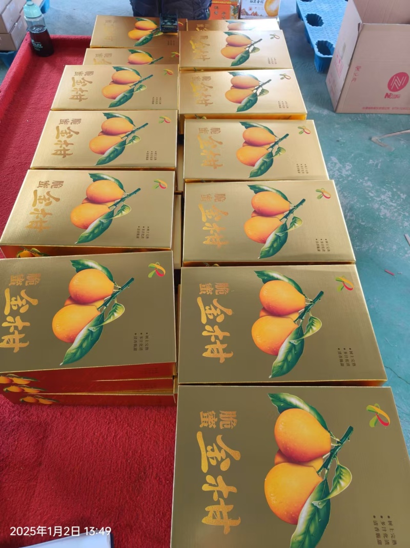 融安金桔-脆蜜金柑-B级果，纯甜无酸-无籽无核