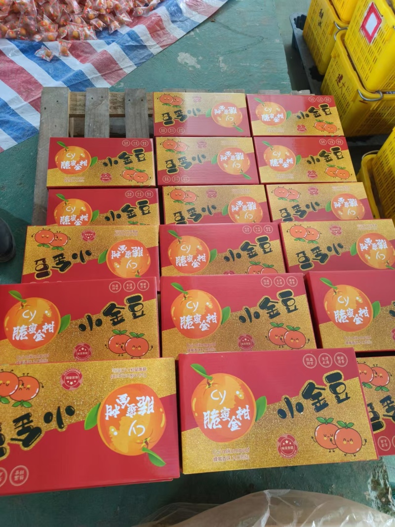 融安金桔-脆蜜金柑-B级果，纯甜无酸-无籽无核