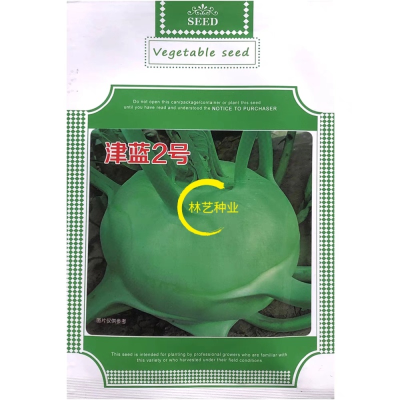 津蓝2号水果苤蓝种子鲜绿甜脆大果高产抗病商品性佳