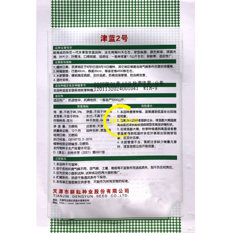 津蓝2号水果苤蓝种子鲜绿甜脆大果高产抗病商品性佳