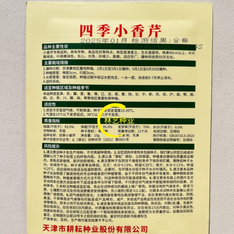 四季小香芹种子香芹脆芹种子籽高产早熟脆嫩芹菜籽大田庭院蔬