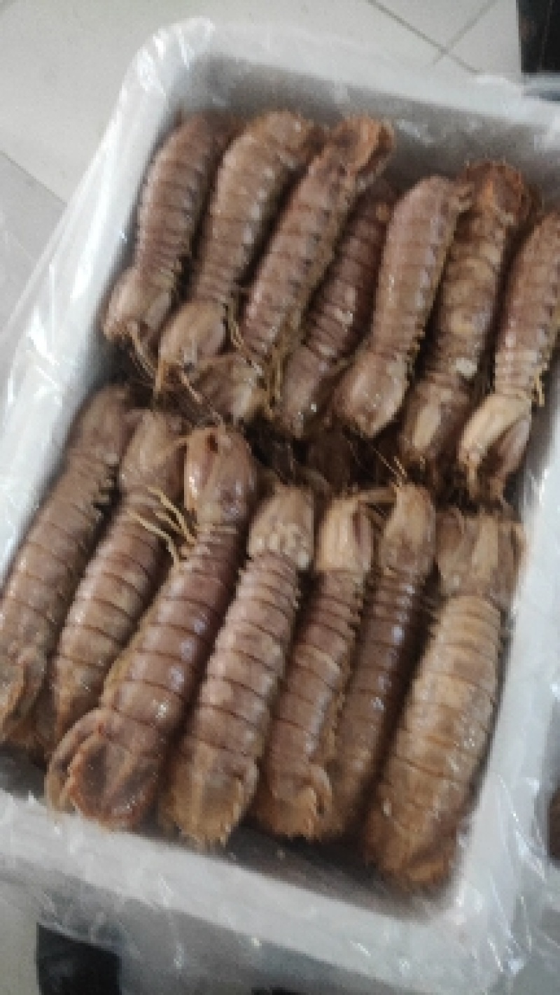熟冻皮皮虾，自做自销，质量保证，价格合理