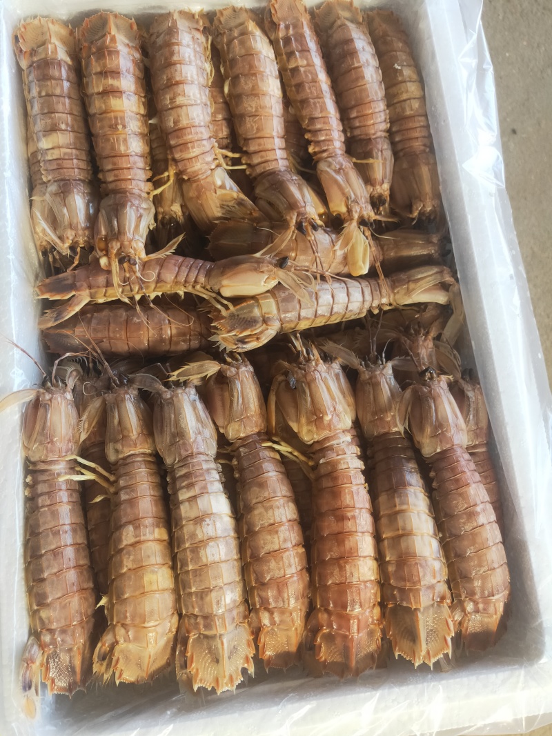 熟冻皮皮虾，自做自销，质量保证，价格合理