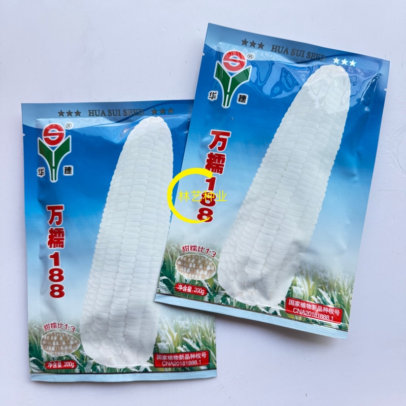 万糯188玉米种子甜加糯型鲜食中熟大棒白甜糯玉米种子