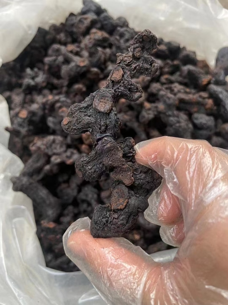 多花黄精，中大个九蒸九晒黄精，姜型黄精干九制黄精