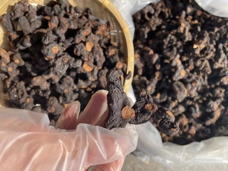 多花黄精，中大个九蒸九晒黄精，姜型黄精干九制黄精