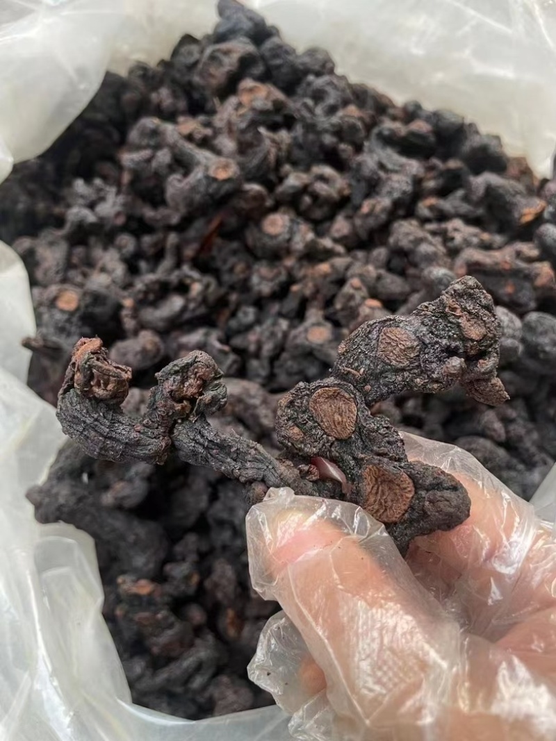 多花黄精，中大个九蒸九晒黄精，姜型黄精干九制黄精