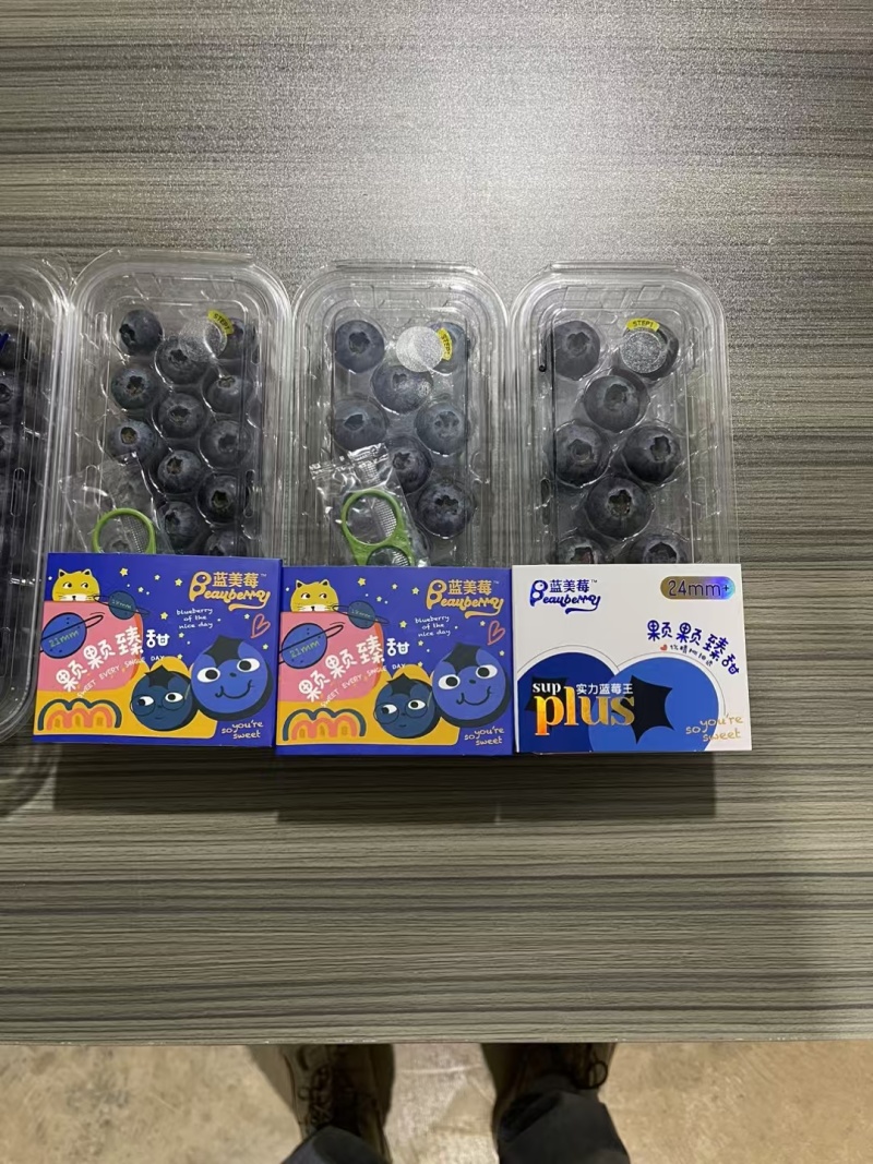 蓝莓基地直供，品种齐全。可供电商，超市，各大批发市场。
