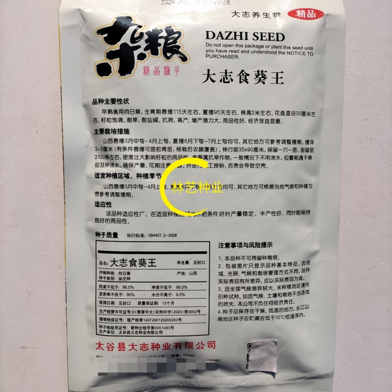 大志食葵王葵花种子高产瓜子葵花籽大头油葵食用向日葵种子
