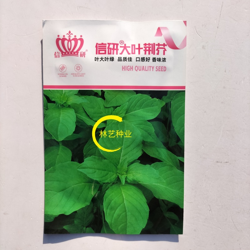 信研大叶荆芥种子叶大叶绿香味浓口感好苋菜汉菜种籽春秋播蔬