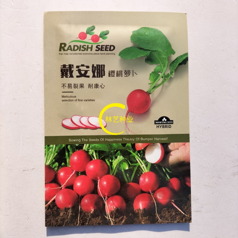 戴安娜樱桃萝卜种子早熟小型水果萝卜种籽皮色鲜红肉雪白了