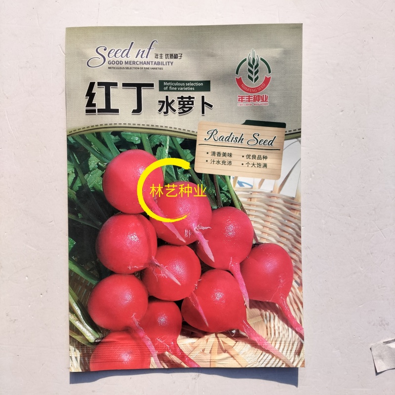 红丁水萝卜种子农田菜园可盆栽早熟红皮白肉小萝卜蔬