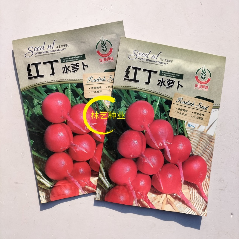 红丁水萝卜种子农田菜园可盆栽早熟红皮白肉小萝卜蔬