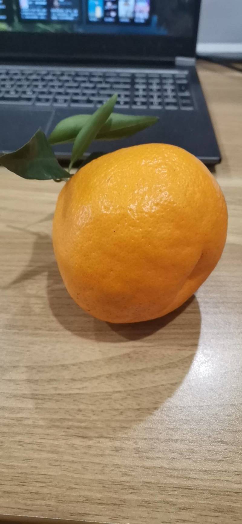 蒲江产地直销（春见）耙耙柑