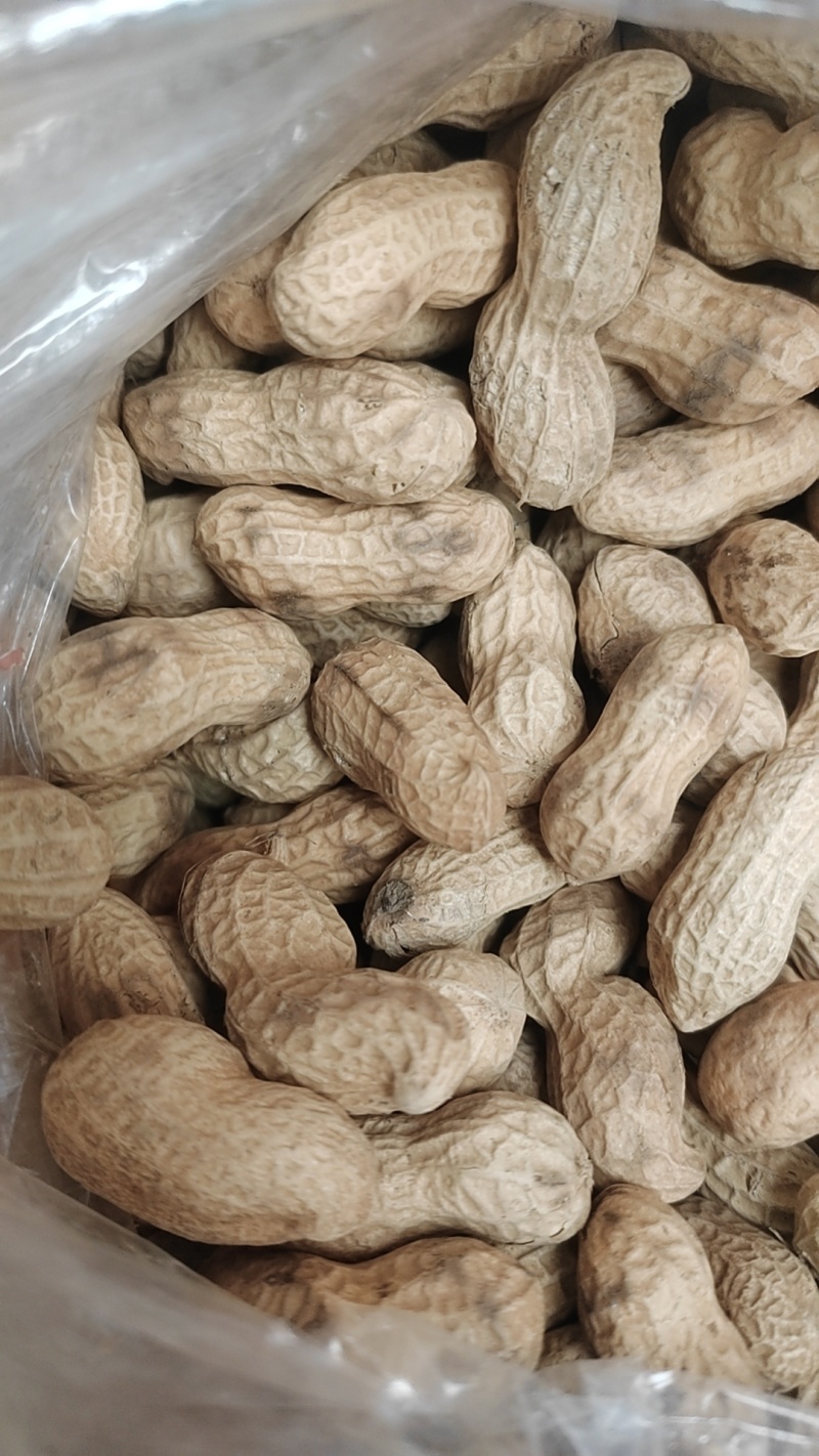 地锅花生，也叫虎皮花生天天炒天天发欢迎电话联系