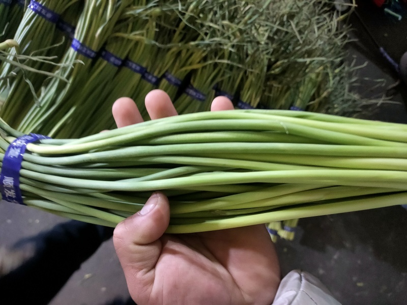 蒜薹无斑存可长年供货通货50~60cm