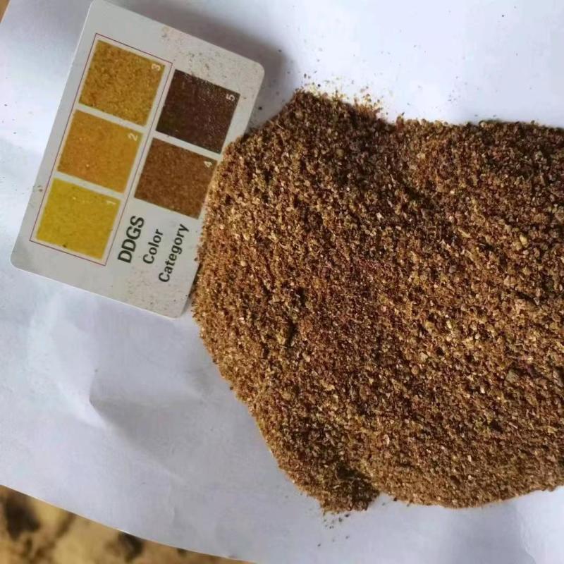 玉米酒糟DDGS育肥牛专用饲料原料玉米下脚料