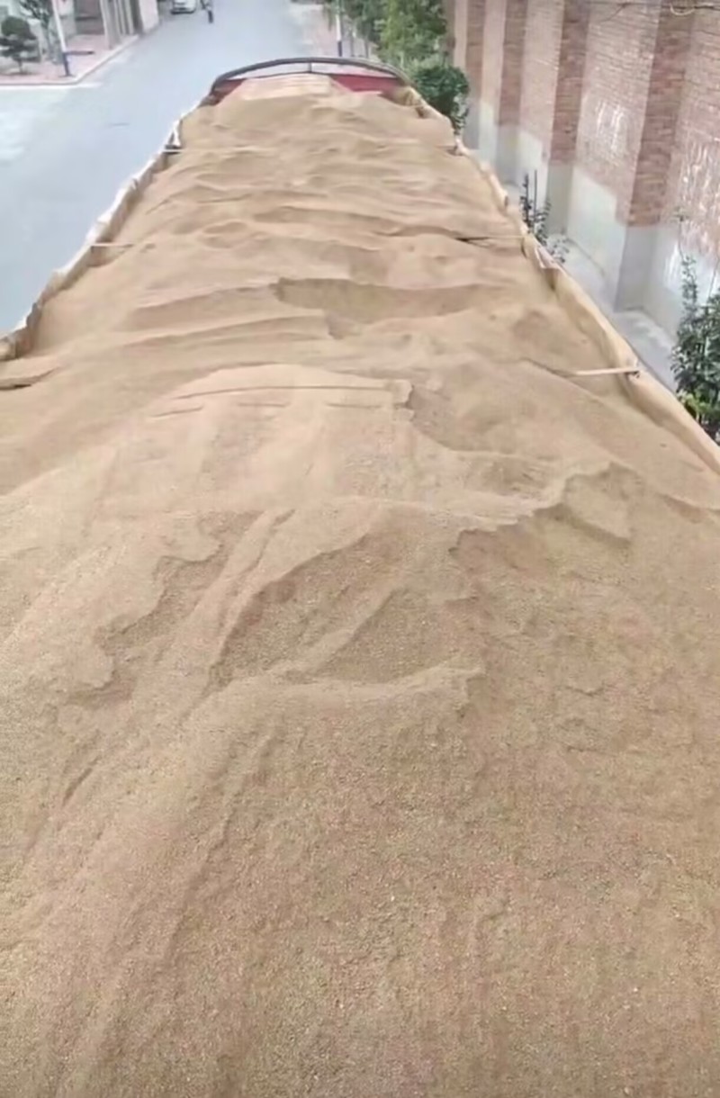 玉米酒糟DDGS育肥牛羊专用节省养殖成本