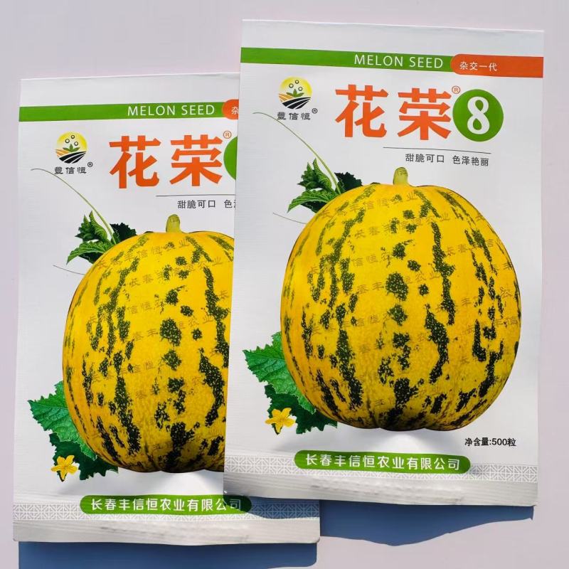 花荣8甜瓜种子特甜花皮绿肉高糖杂交甜瓜种籽大果硬度高