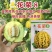 花荣8甜瓜种子特甜花皮绿肉高糖杂交甜瓜种籽大果硬度高