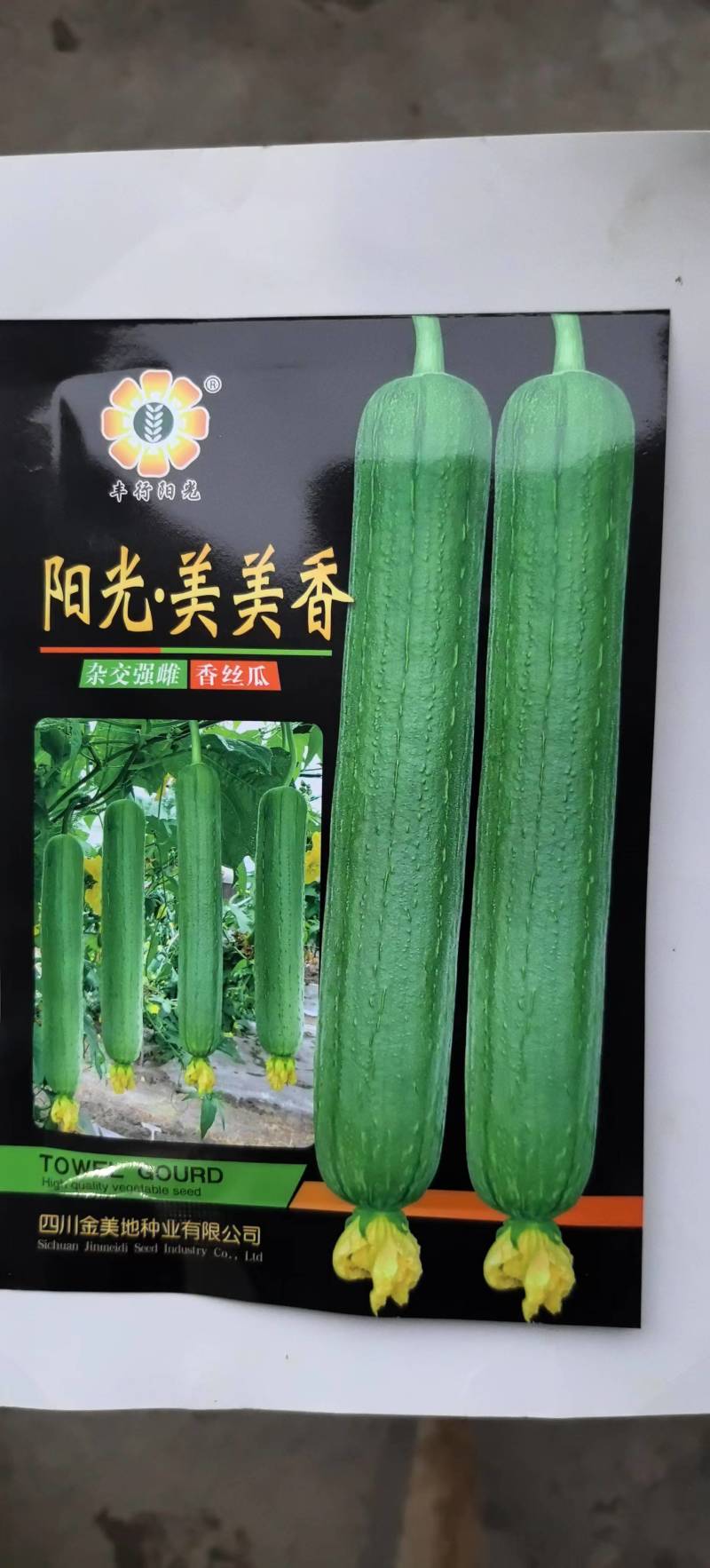 丝瓜种子阳光美美香早熟强雌中长棒硬翠绿顺直高产口感好