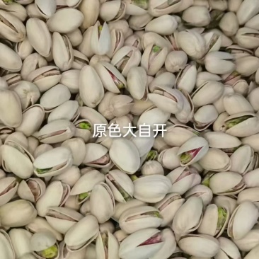 开心果一手货源充足对接批发商大量现货价格美丽
