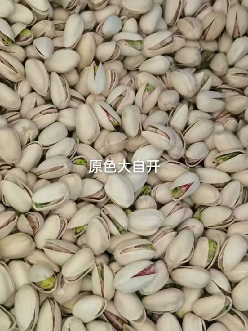 开心果一手货源充足对接批发商大量现货价格美丽