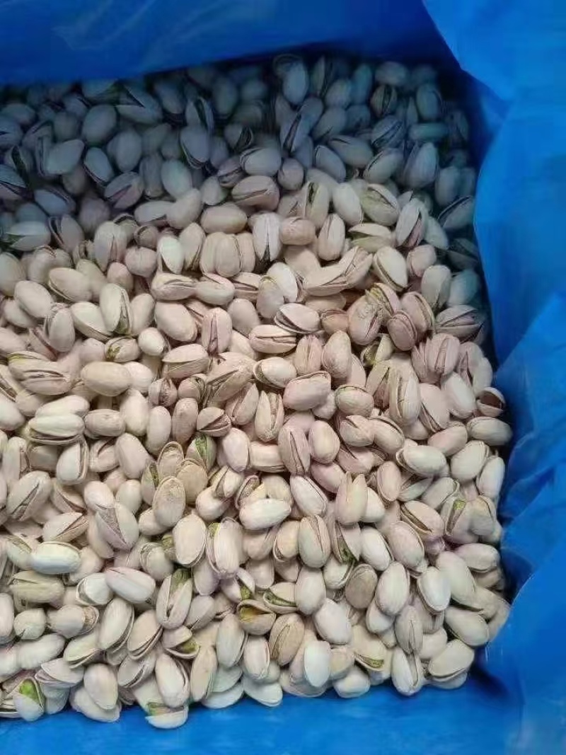 开心果一手货源充足对接批发商大量现货价格美丽