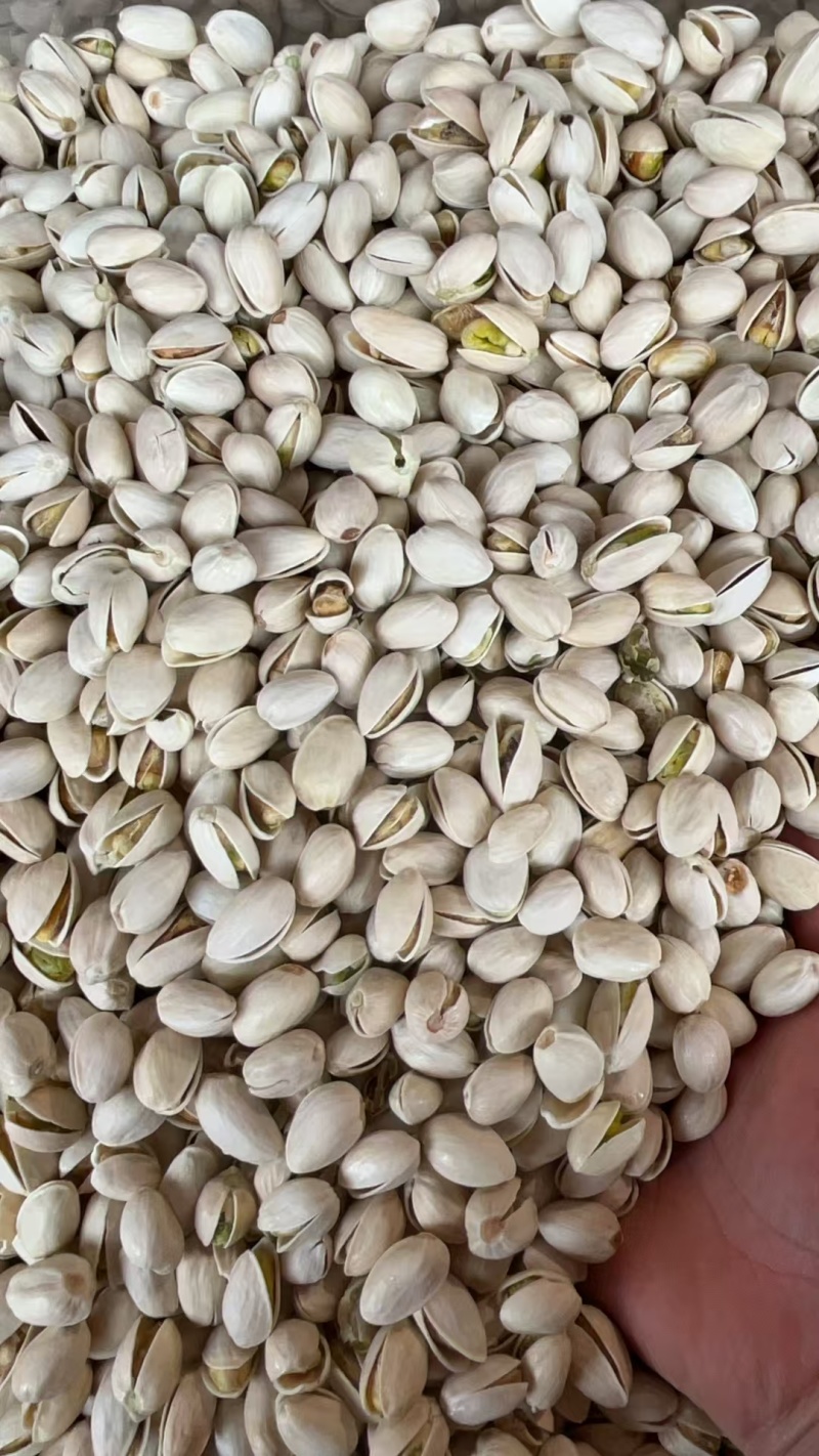 开心果一手货源充足对接批发商大量现货价格美丽