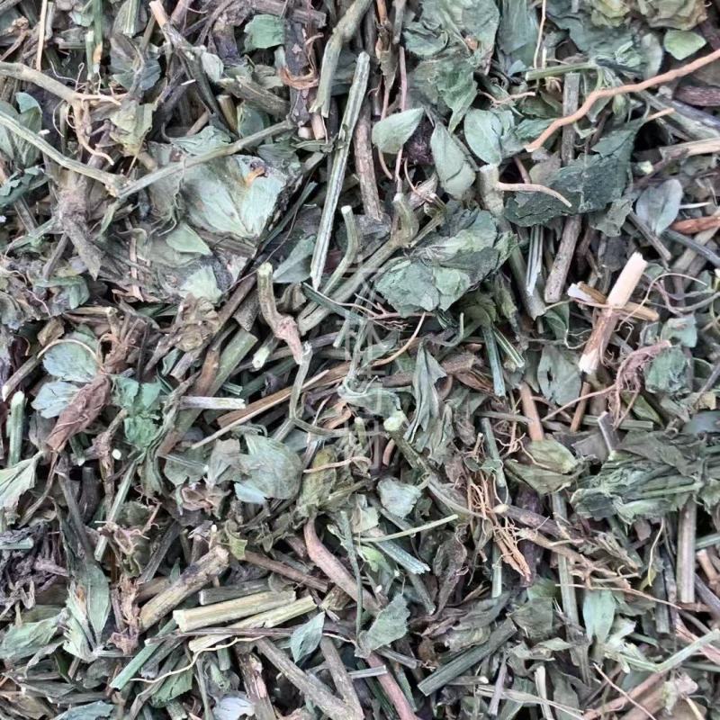 狗肝菜【包邮】三斤起发货可批量可零售量大从优