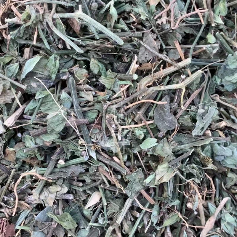 狗肝菜【包邮】三斤起发货可批量可零售量大从优