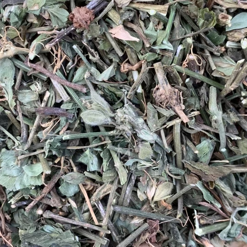 狗肝菜【包邮】三斤起发货可批量可零售量大从优