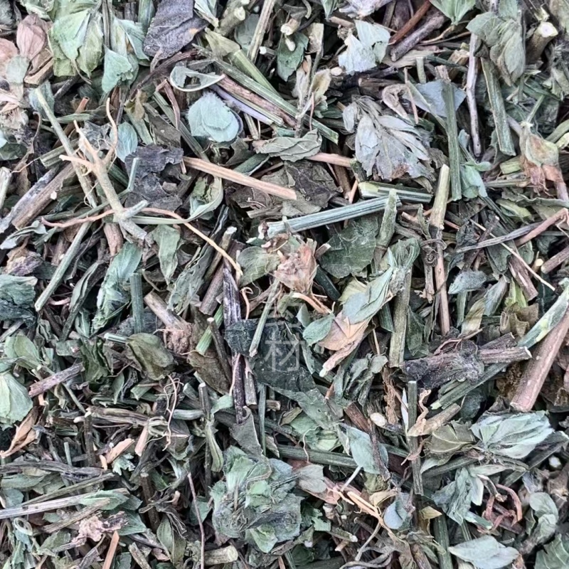 狗肝菜【包邮】三斤起发货可批量可零售量大从优