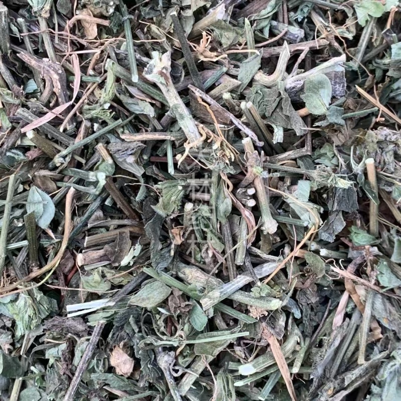 狗肝菜【包邮】三斤起发货可批量可零售量大从优