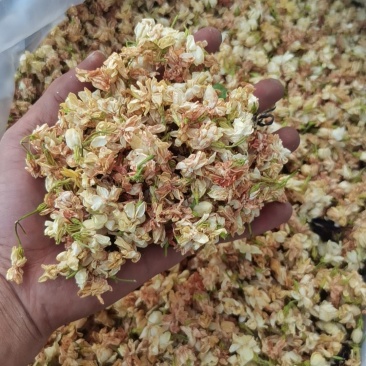 茉莉花干（二锅头）