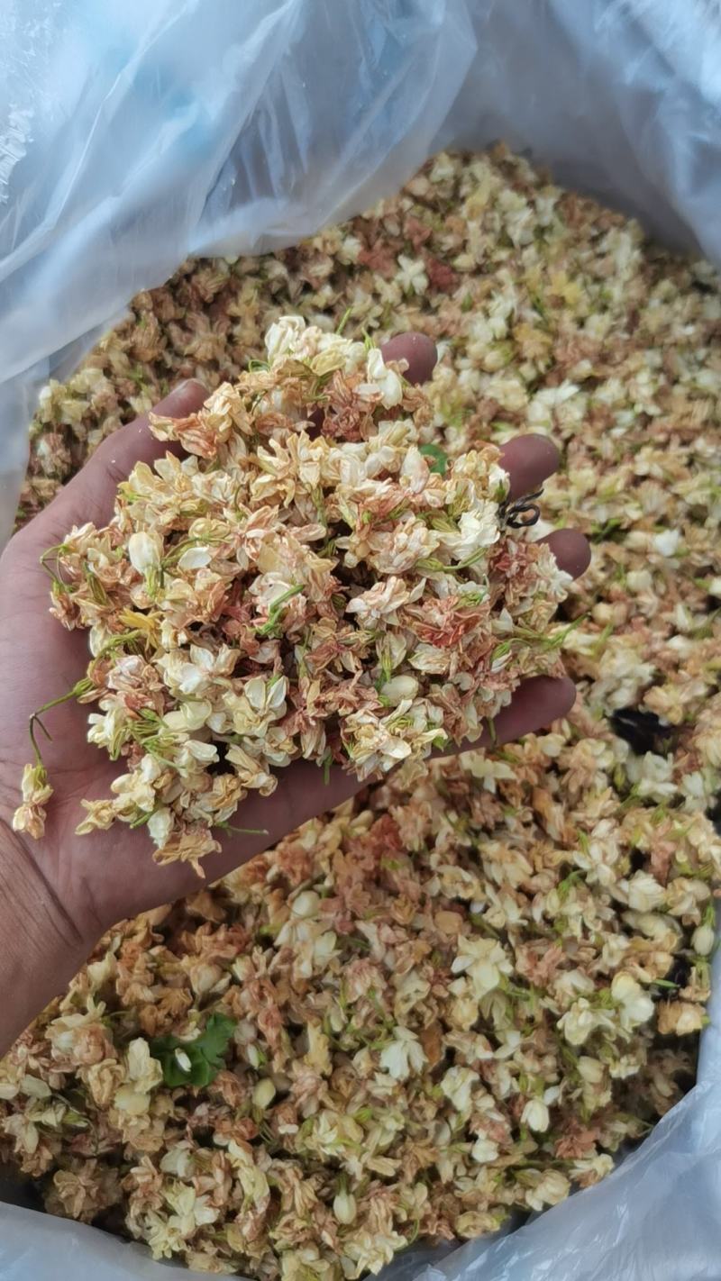 茉莉花干（二锅头）