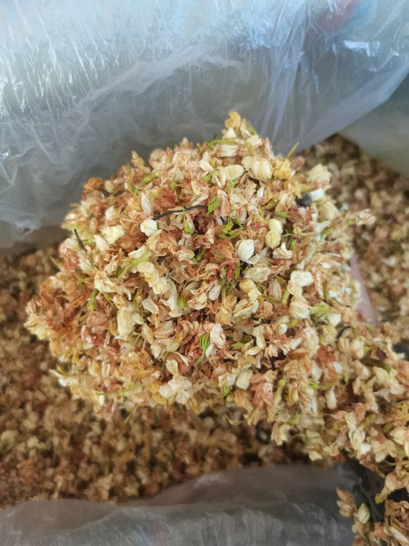 茉莉花干（二锅头）