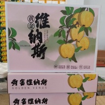 【维纳斯精品礼盒】烟台维纳斯黄金苹果一件代发送礼福利佳品