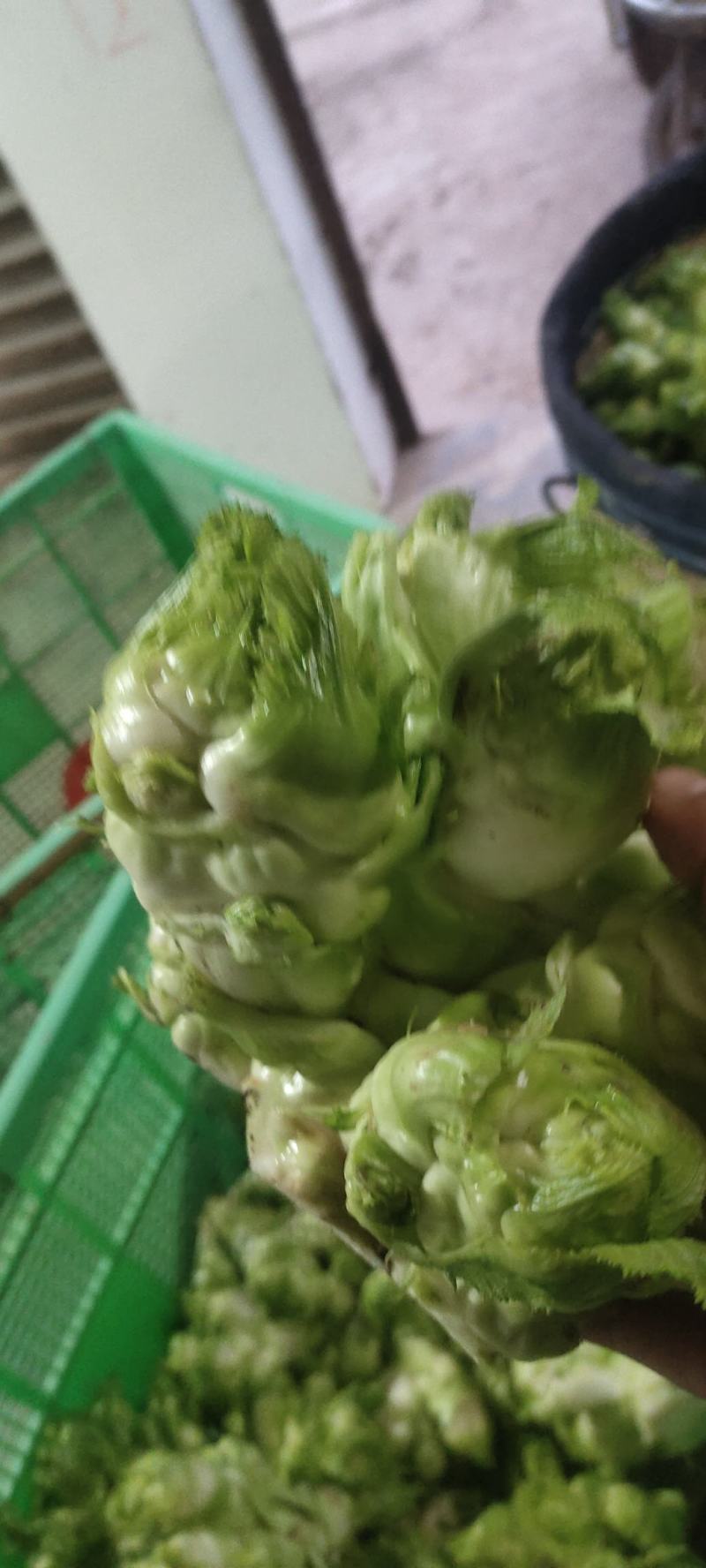 儿菜
