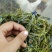 西藏特产龙胆花龙胆草虞美人植物花草
