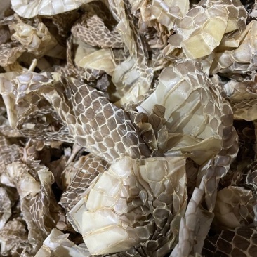 蛇皮正宗中药材蛇蜕蜕皮龙衣长龙干货长虫蛇壳青龙衣蛇壳