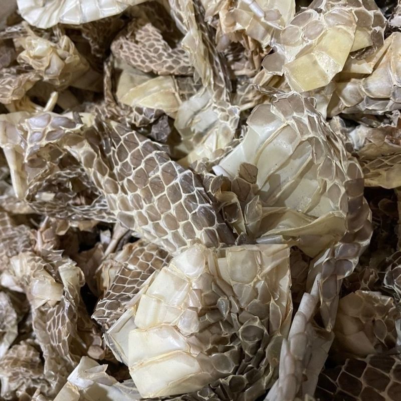 蛇皮正宗中药材蛇蜕蜕皮龙衣长龙干货长虫蛇壳青龙衣蛇壳