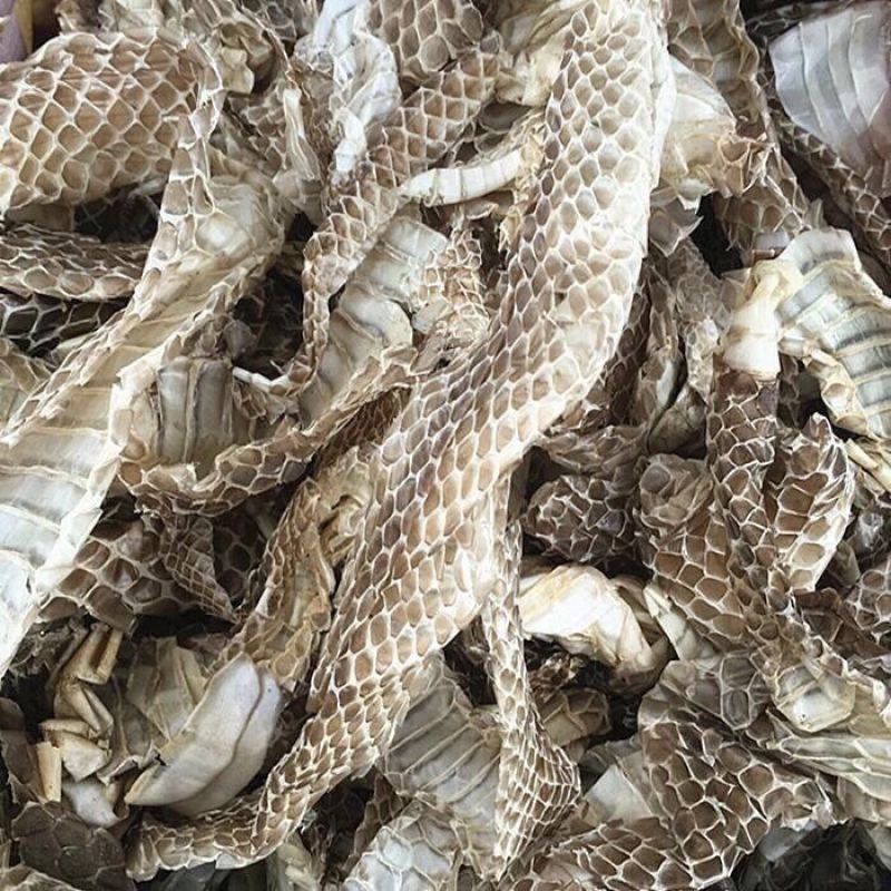 蛇皮正宗中药材蛇蜕蜕皮龙衣长龙干货长虫蛇壳青龙衣蛇壳